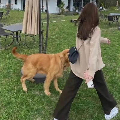 极秘搜查